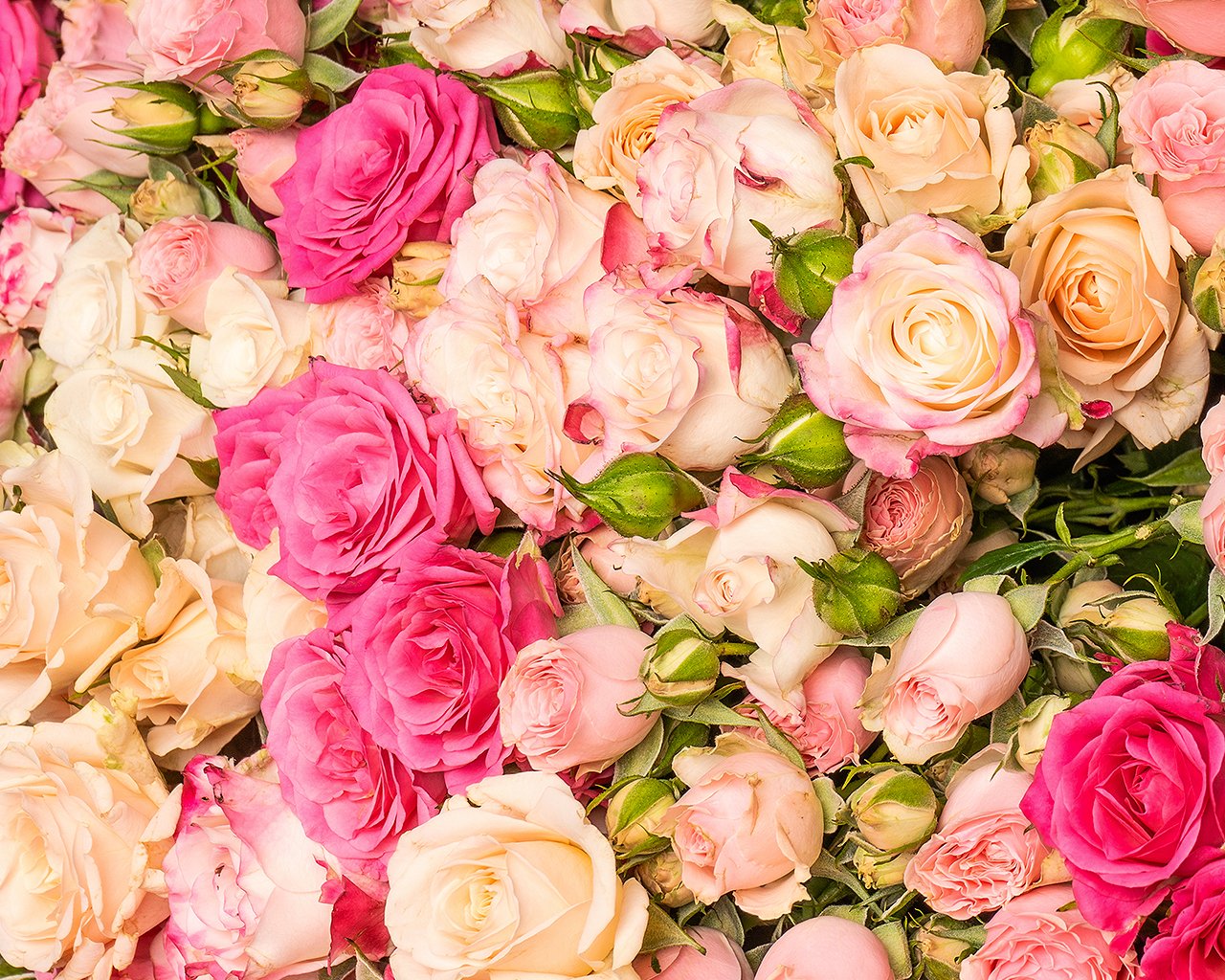 Букет из 101 высокой кустовой розы 60-70 см в стильной упаковке - 4